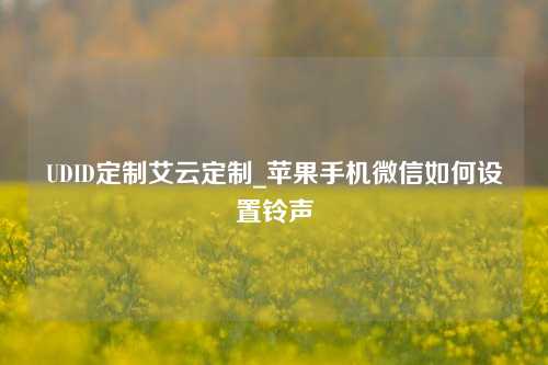 UDID定制艾云定制_苹果手机微信如何设置铃声