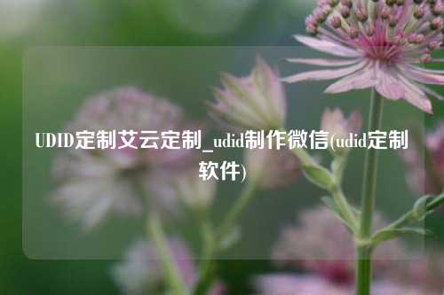 UDID定制艾云定制_udid制作微信(udid定制软件)