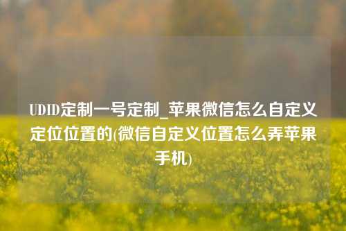 UDID定制一号定制_苹果微信怎么自定义定位位置的(微信自定义位置怎么弄苹果手机)