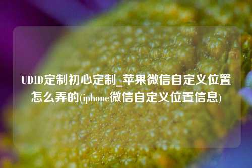 UDID定制初心定制_苹果微信自定义位置怎么弄的(iphone微信自定义位置信息)