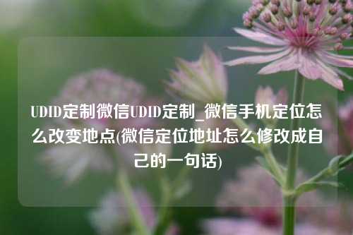 UDID定制微信UDID定制_微信手机定位怎么改变地点(微信定位地址怎么修改成自己的一句话)