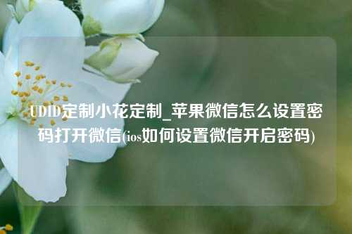 UDID定制小花定制_苹果微信怎么设置密码打开微信(ios如何设置微信开启密码)