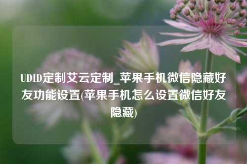 UDID定制艾云定制_苹果手机微信隐藏好友功能设置(苹果手机怎么设置微信好友隐藏)