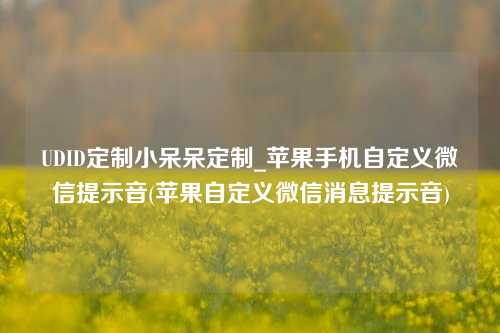 UDID定制小呆呆定制_苹果手机自定义微信提示音(苹果自定义微信消息提示音)