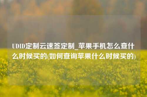 UDID定制云速签定制_苹果手机怎么查什么时候买的(如何查询苹果什么时候买的)