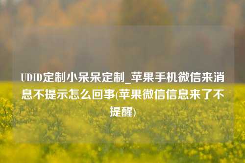 UDID定制小呆呆定制_苹果手机微信来消息不提示怎么回事(苹果微信信息来了不提醒)