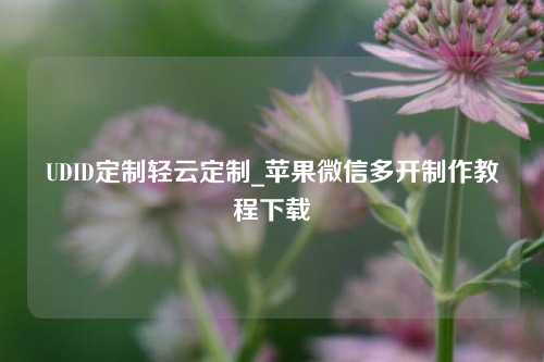 UDID定制轻云定制_苹果微信多开制作教程下载