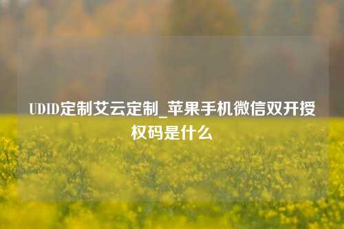 UDID定制艾云定制_苹果手机微信双开授权码是什么