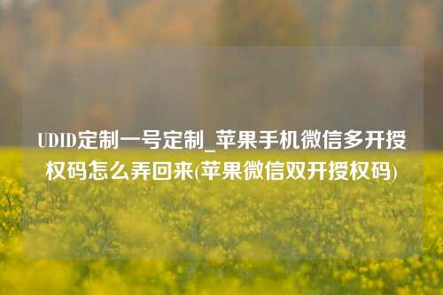 UDID定制一号定制_苹果手机微信多开授权码怎么弄回来(苹果微信双开授权码)