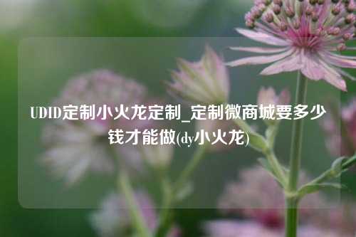 UDID定制小火龙定制_定制微商城要多少钱才能做(dy小火龙)