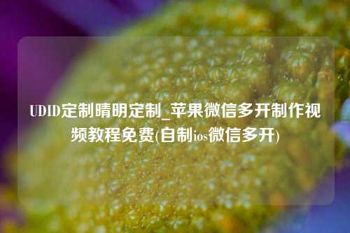 UDID定制晴明定制_苹果微信多开制作视频教程免费(自制ios微信多开)