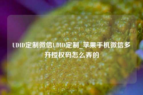 UDID定制微信UDID定制_苹果手机微信多开授权码怎么弄的