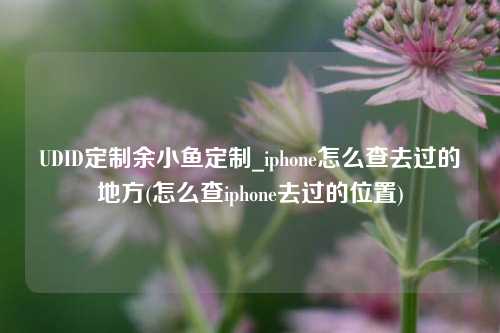 UDID定制余小鱼定制_iphone怎么查去过的地方(怎么查iphone去过的位置)