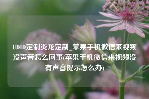 UDID定制炎龙定制_苹果手机微信来视频没声音怎么回事(苹果手机微信来视频没有声音提示怎么办)