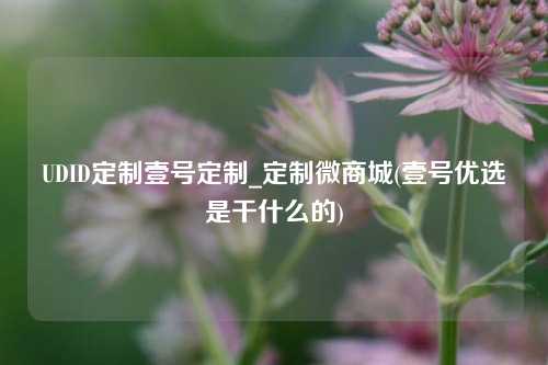 UDID定制壹号定制_定制微商城(壹号优选是干什么的)