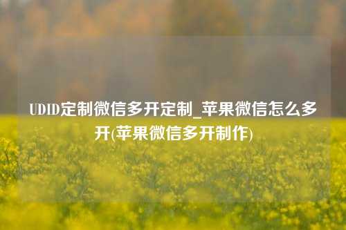 UDID定制微信多开定制_苹果微信怎么多开(苹果微信多开制作)