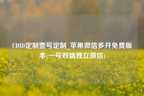 UDID定制壹号定制_苹果微信多开免费版本(一号双端独立微信)