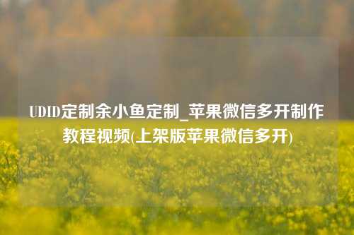 UDID定制余小鱼定制_苹果微信多开制作教程视频(上架版苹果微信多开)