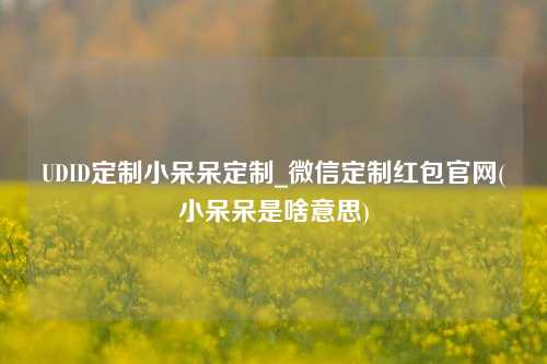 UDID定制小呆呆定制_微信定制红包官网(小呆呆是啥意思)