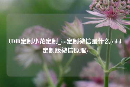 UDID定制小花定制_ios定制微信是什么(udid定制版微信原理)