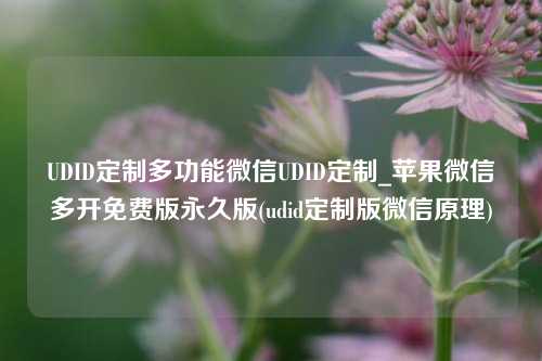 UDID定制多功能微信UDID定制_苹果微信多开免费版永久版(udid定制版微信原理)