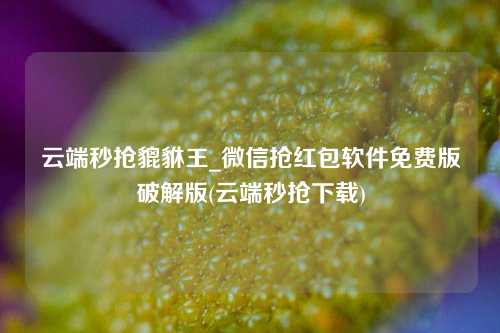 云端秒抢貔貅王_微信抢红包软件免费版破解版(云端秒抢下载)