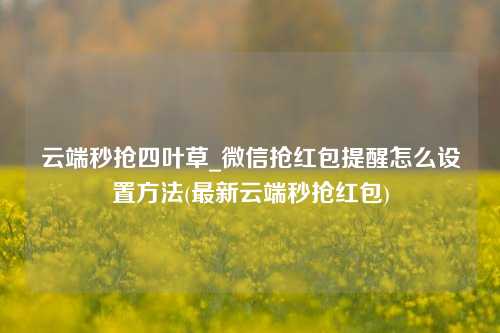 云端秒抢四叶草_微信抢红包提醒怎么设置方法(最新云端秒抢红包)