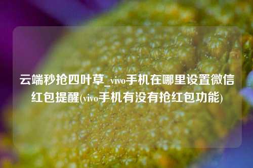 云端秒抢四叶草_vivo手机在哪里设置微信红包提醒(vivo手机有没有抢红包功能)