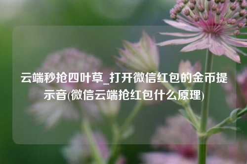 云端秒抢四叶草_打开微信红包的金币提示音(微信云端抢红包什么原理)