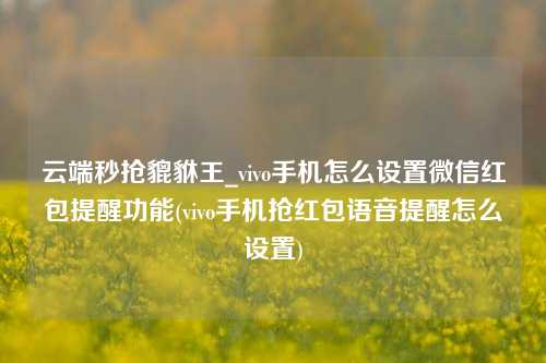 云端秒抢貔貅王_vivo手机怎么设置微信红包提醒功能(vivo手机抢红包语音提醒怎么设置)