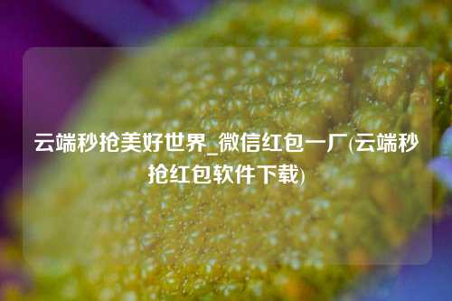 云端秒抢美好世界_微信红包一厂(云端秒抢红包软件下载)