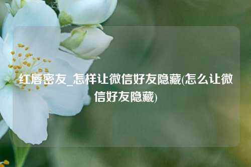 红唇密友_怎样让微信好友隐藏(怎么让微信好友隐藏)