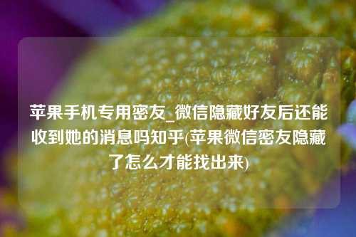 苹果手机专用密友_微信隐藏好友后还能收到她的消息吗知乎(苹果微信密友隐藏了怎么才能找出来)