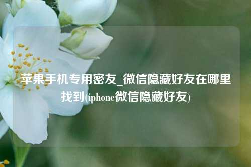 苹果手机专用密友_微信隐藏好友在哪里找到(iphone微信隐藏好友)