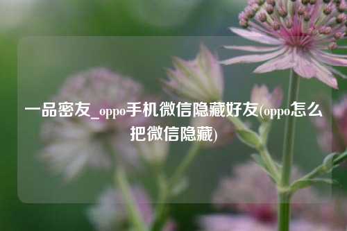 一品密友_oppo手机微信隐藏好友(oppo怎么把微信隐藏)