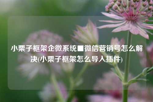 小栗子框架企微系统■微信营销号怎么解决(小栗子框架怎么导入插件)