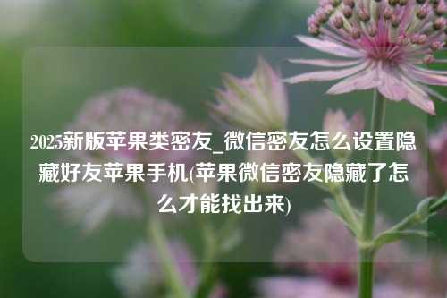 2025新版苹果类密友_微信密友怎么设置隐藏好友苹果手机(苹果微信密友隐藏了怎么才能找出来)