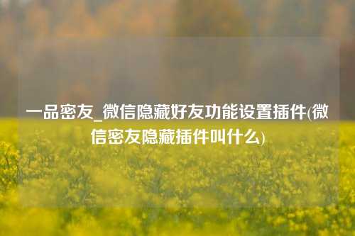 一品密友_微信隐藏好友功能设置插件(微信密友隐藏插件叫什么)