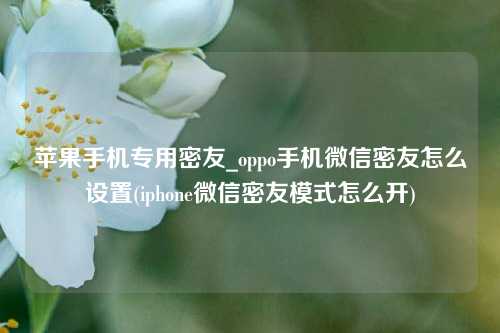 苹果手机专用密友_oppo手机微信密友怎么设置(iphone微信密友模式怎么开)