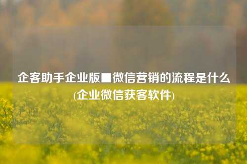 企客助手企业版■微信营销的流程是什么(企业微信获客软件)