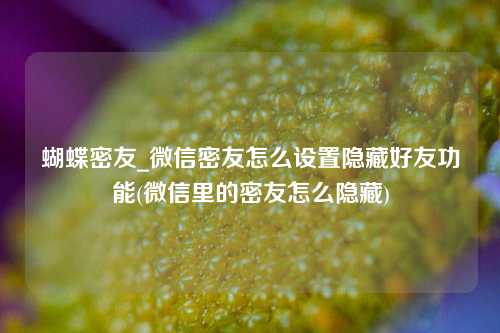 蝴蝶密友_微信密友怎么设置隐藏好友功能(微信里的密友怎么隐藏)