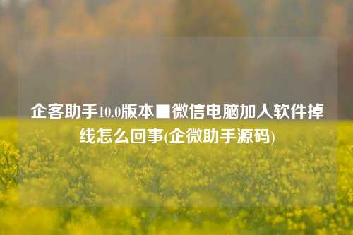 企客助手10.0版本■微信电脑加人软件掉线怎么回事(企微助手源码)