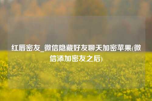 红唇密友_微信隐藏好友聊天加密苹果(微信添加密友之后)