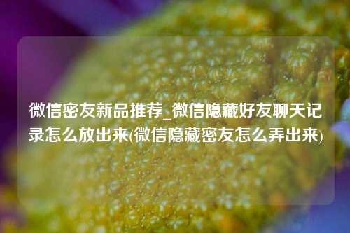 微信密友新品推荐_微信隐藏好友聊天记录怎么放出来(微信隐藏密友怎么弄出来)