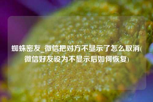 蜘蛛密友_微信把对方不显示了怎么取消(微信好友设为不显示后如何恢复)