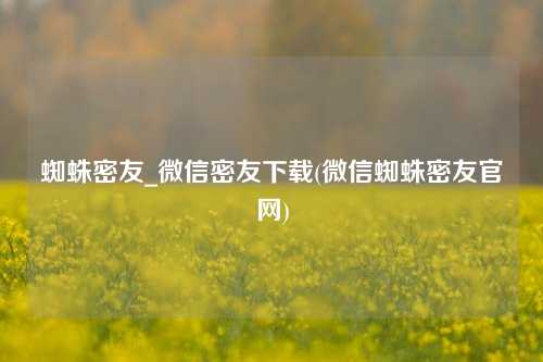 蜘蛛密友_微信密友下载(微信蜘蛛密友官网)