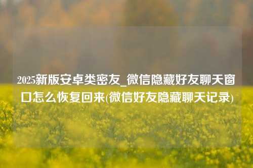 2025新版安卓类密友_微信隐藏好友聊天窗口怎么恢复回来(微信好友隐藏聊天记录)