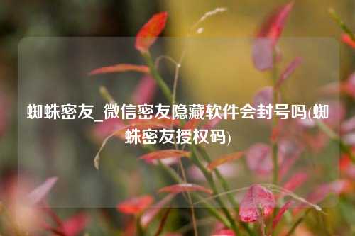 蜘蛛密友_微信密友隐藏软件会封号吗(蜘蛛密友授权码)