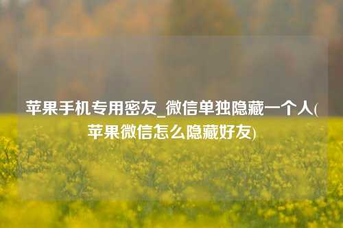 苹果手机专用密友_微信单独隐藏一个人(苹果微信怎么隐藏好友)