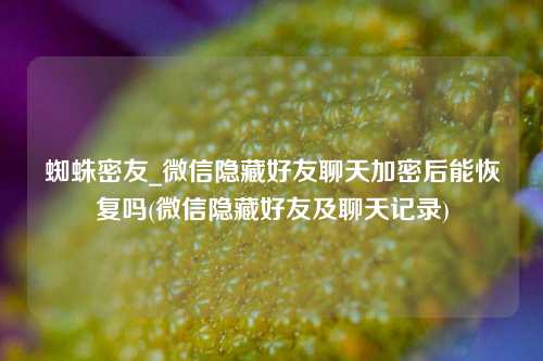 蜘蛛密友_微信隐藏好友聊天加密后能恢复吗(微信隐藏好友及聊天记录)